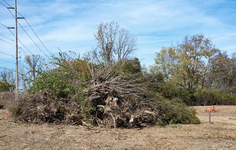 shutterstock_1701689065 brush clearing site prep