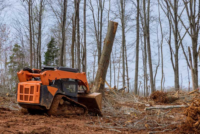 shutterstock_1701689065 land clearing services