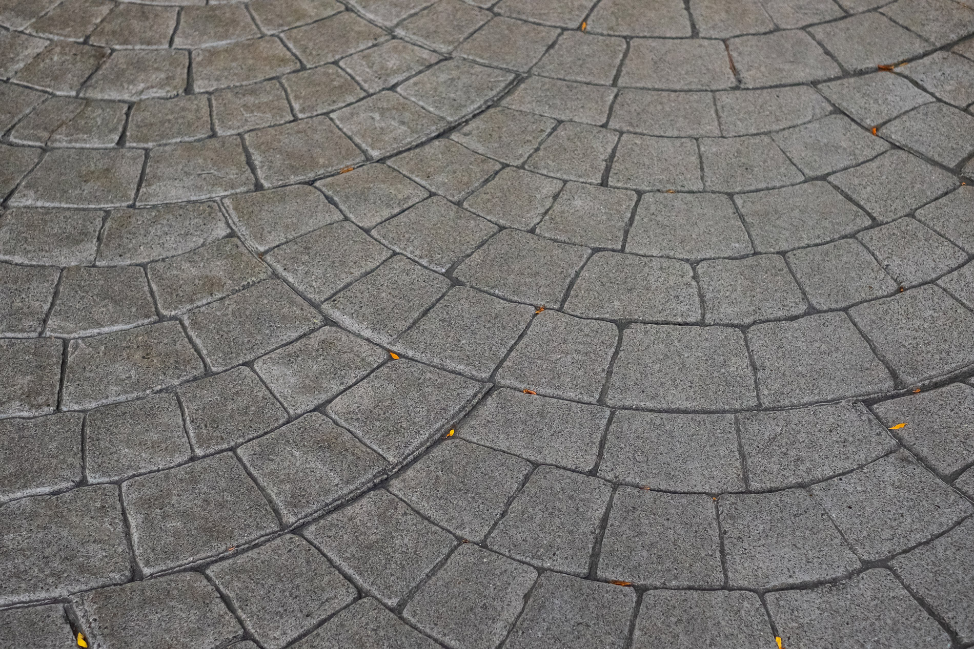 shutterstock_1701689065 stamped concrete contractor